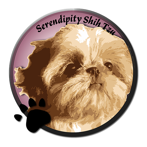 Serendipity Shih Tzu Logo